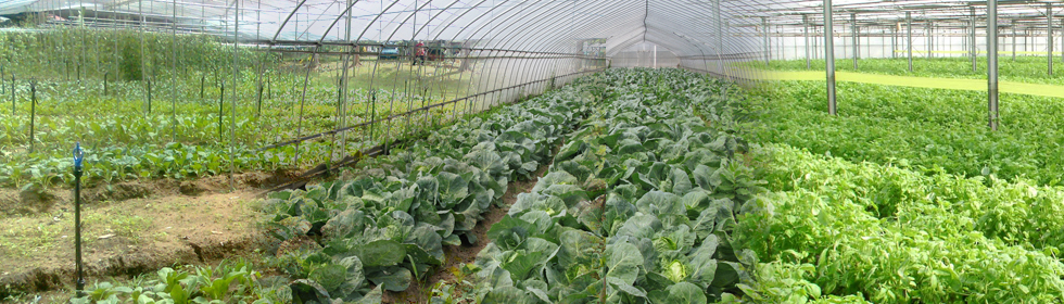 Farming