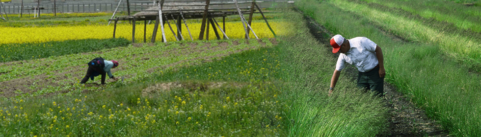 Farming