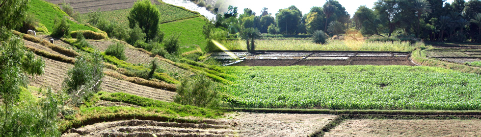 Farming