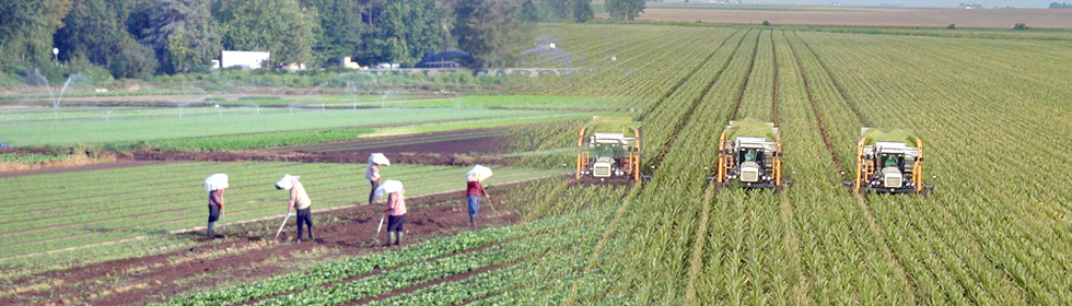 Farming