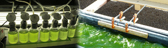 Biofuel