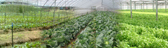 Farming